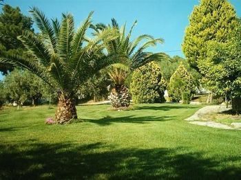 صورة الفندق 20