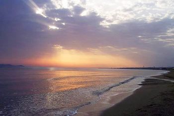 صورة الفندق 21
