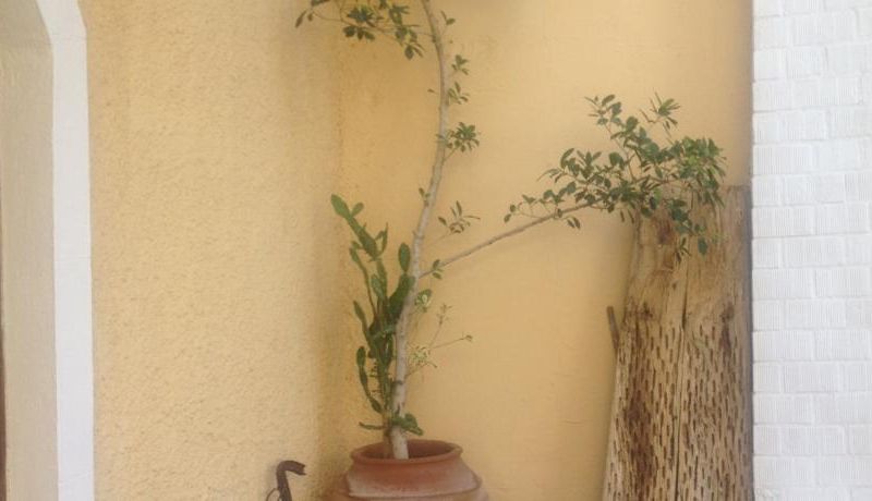 صورة الفندق 6