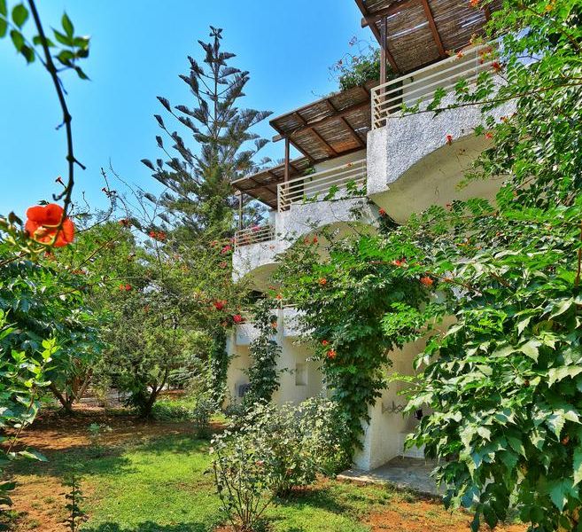 صورة الفندق 20