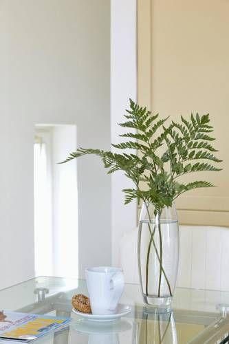 صورة الفندق 11
