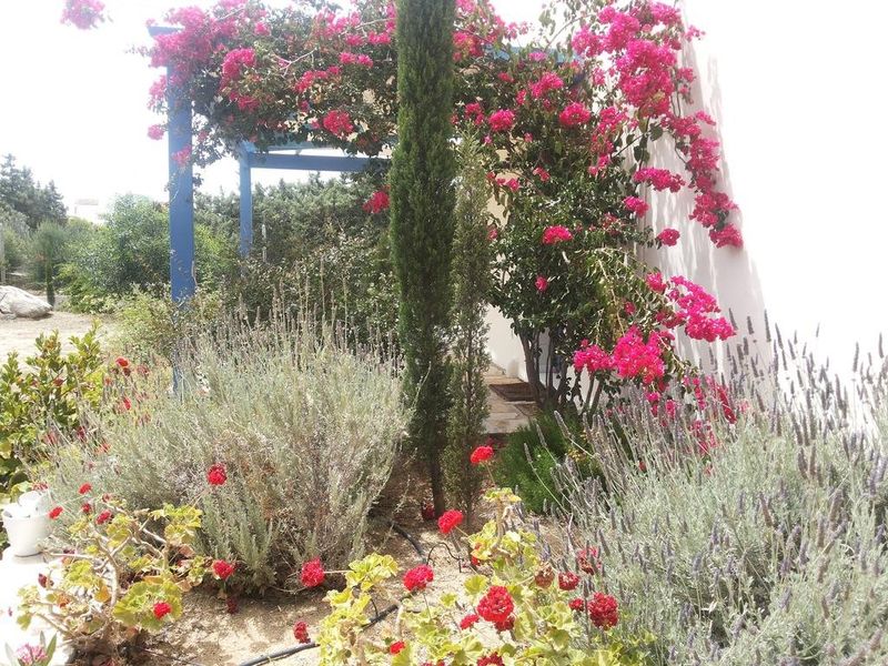 صورة الفندق 19