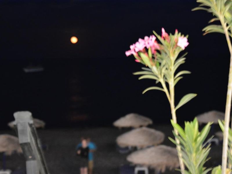 صورة الفندق 20