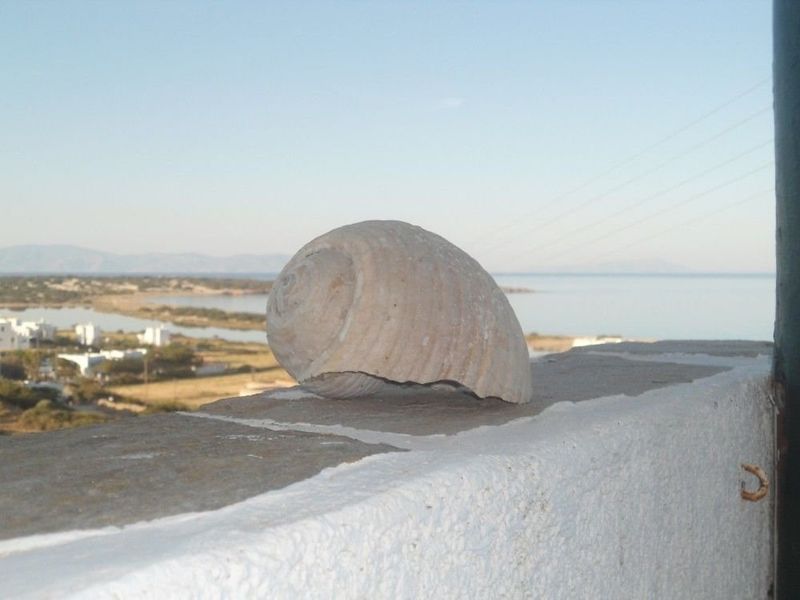 صورة الفندق 4