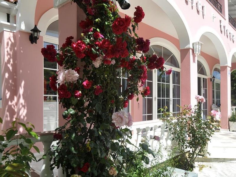صورة الفندق 12