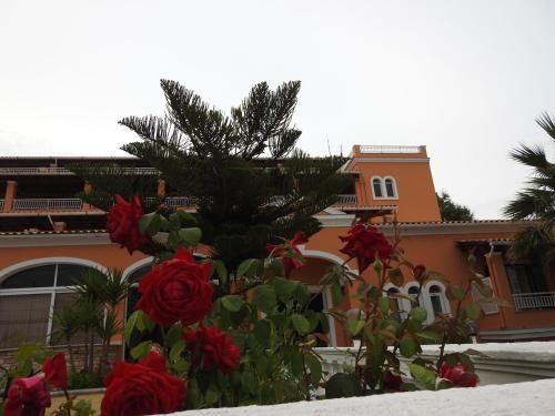صورة الفندق 18