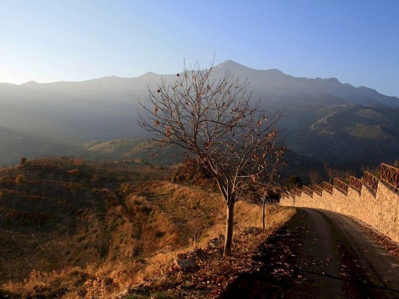 صورة الفندق 20