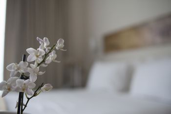 صورة الفندق 20