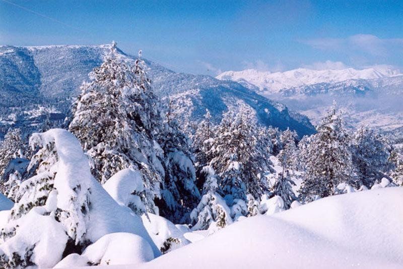 صورة الفندق 20