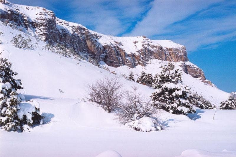 صورة الفندق 21