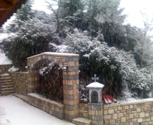صورة الفندق 18