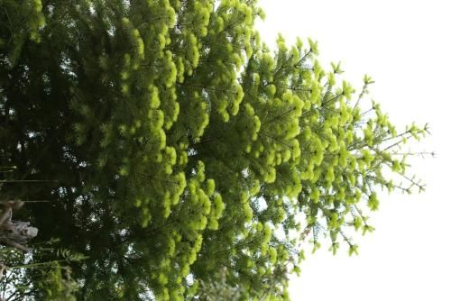 صورة الفندق 20