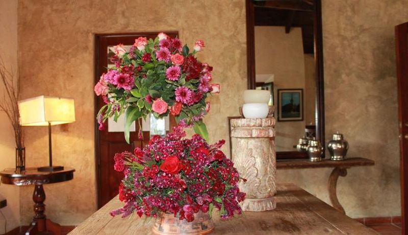 صورة الفندق 16