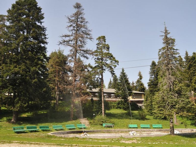 Hotel Photo 20