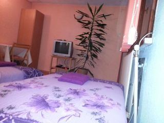 Hotel pic Guest House Drakite