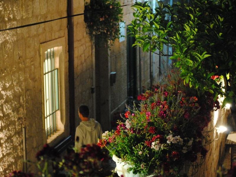 صورة الفندق 19
