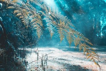 صورة الفندق 20