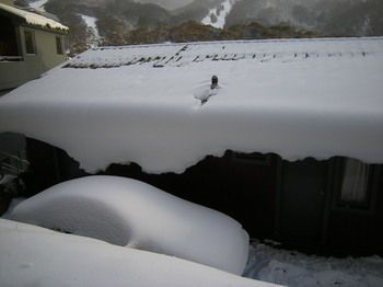 صورة الفندق 23