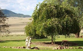صورة الفندق 15