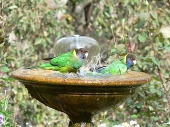 صورة الفندق 17
