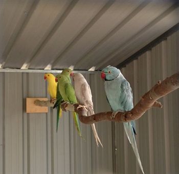 صورة الفندق 16