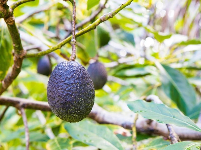 صورة الفندق 17