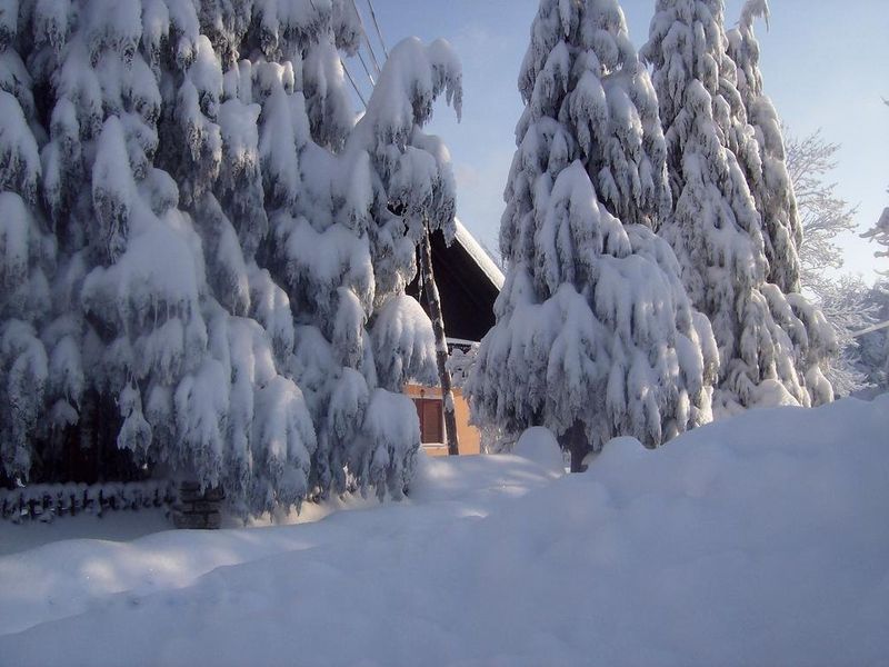 صورة الفندق 20