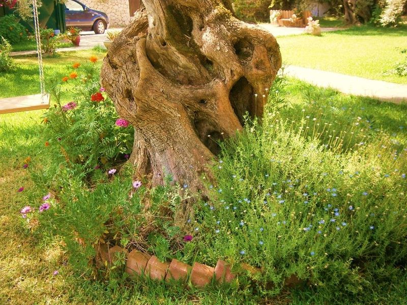 صورة الفندق 5