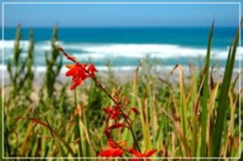 صورة الفندق 20
