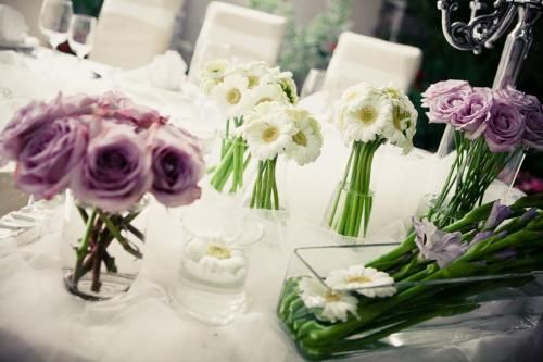 صورة الفندق 16