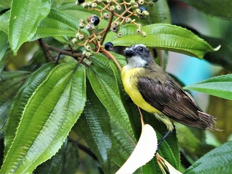 صورة الفندق 24