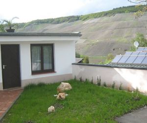 Cosy Apartment in Wehlen with Garden Bernkastel Kues Germany