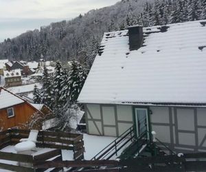 Spacious Apartment in Neuwerk near Ski Area Huttenrode Germany