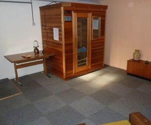 Spacious Holiday Home in Frankenau With Infrared Sauna Frankenau Germany