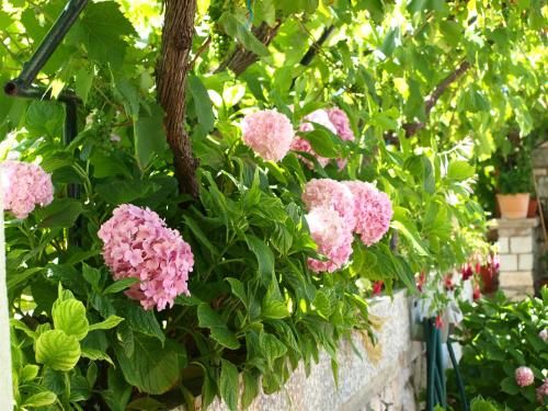 صورة الفندق 17