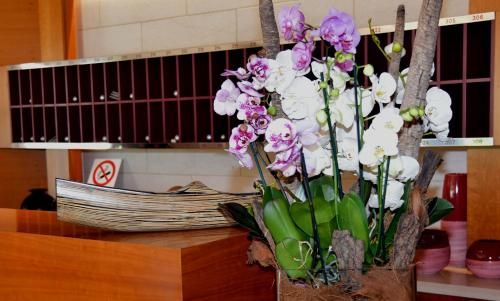 Hotel Photo 12