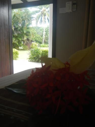 صورة الفندق 16