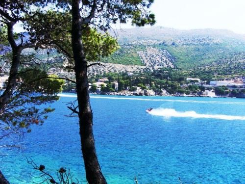 صورة الفندق 21