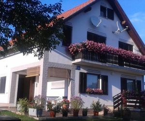 Guest House Adrijana Seliste Dreznicko Croatia