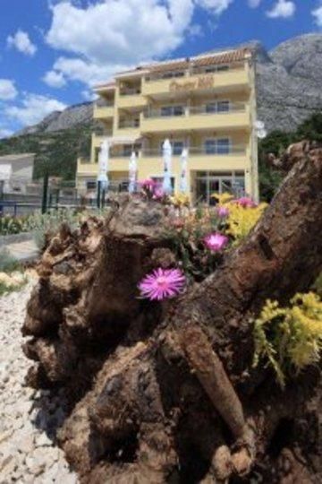 Hotel Photo 16