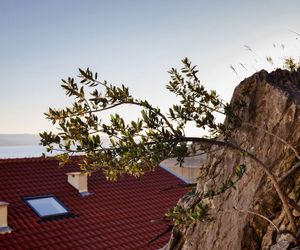 Villa Palloma Baska Voda Croatia