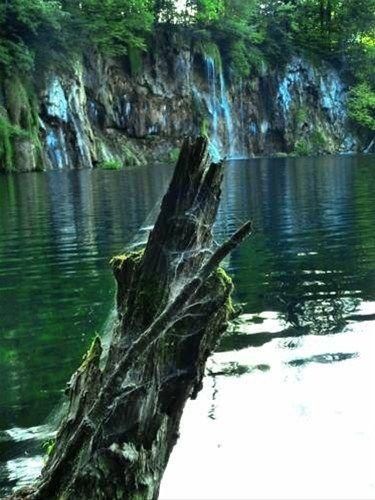صورة الفندق 2