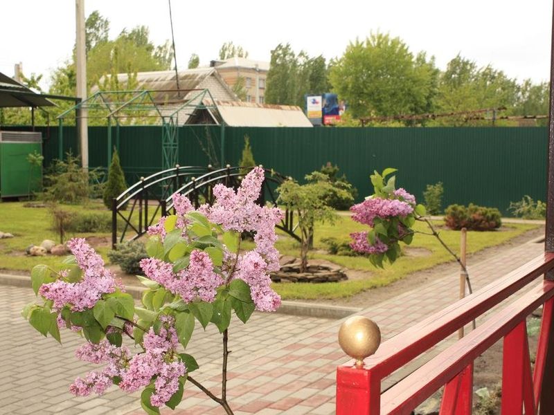 Hotel Photo 22