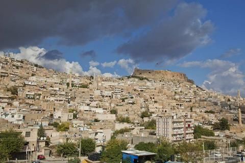صورة الفندق 24