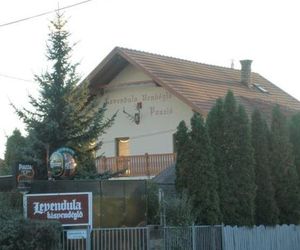 Levendula Panzio Szentendre Hungary