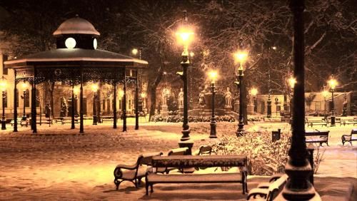 صورة الفندق 21