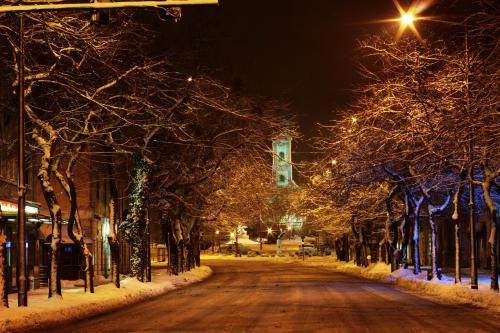 صورة الفندق 24
