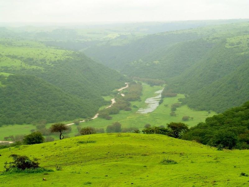 صورة الفندق 18