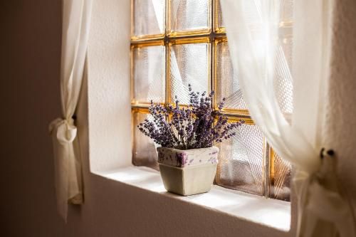 صورة الفندق 20