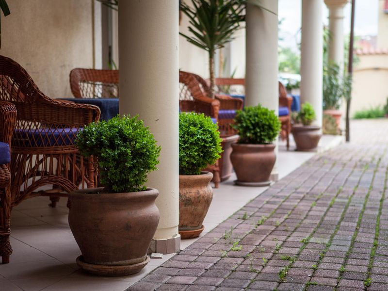 Hotel Photo 20